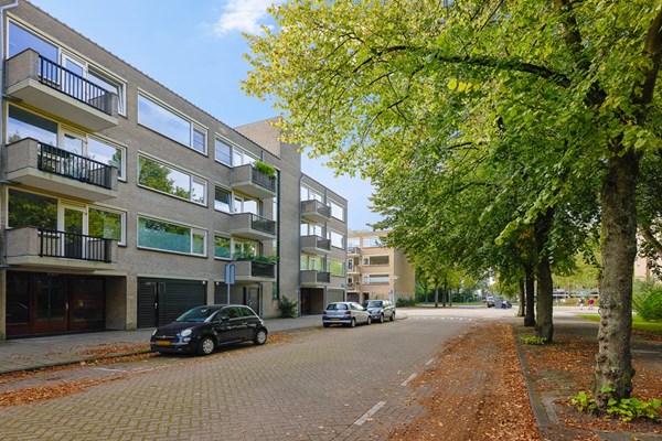 Gijsbrecht Van Ijselsteinstraat 247, Amsterdam